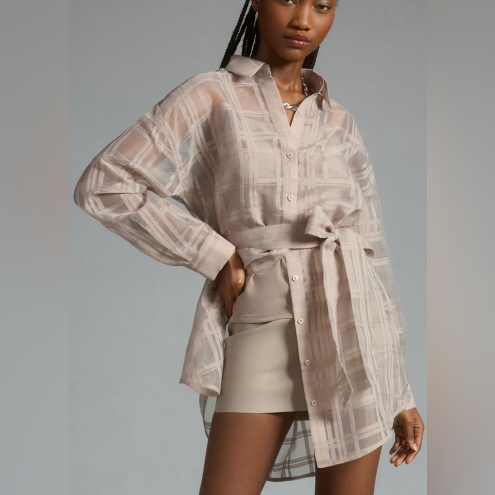 English Factory Sheer Buttondown Blouse